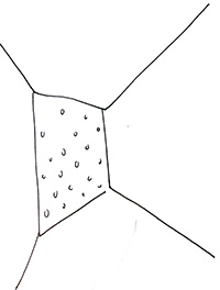 mural en el patio del gato